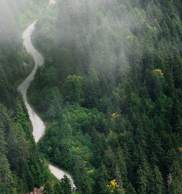 豪门国际官网-追求康健,你我一起开展